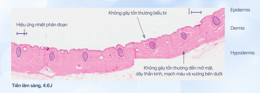 Hiệu quả lâm sàng đã được chứng minh